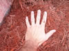 Mulch Red